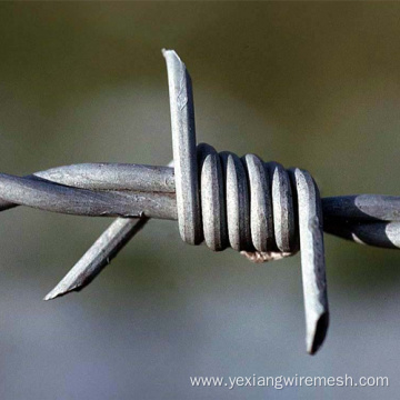 Razor Barbed Iron Wire